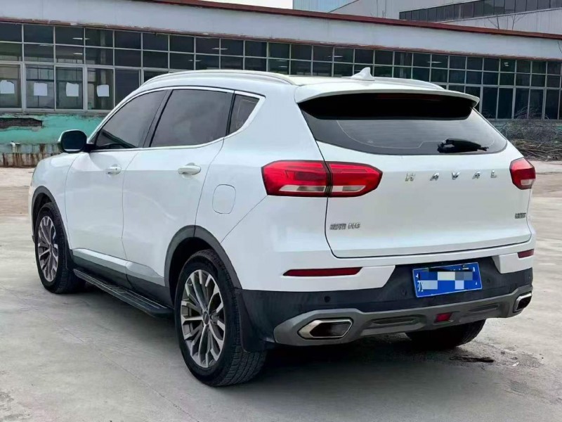 濰坊20年紅旗H66