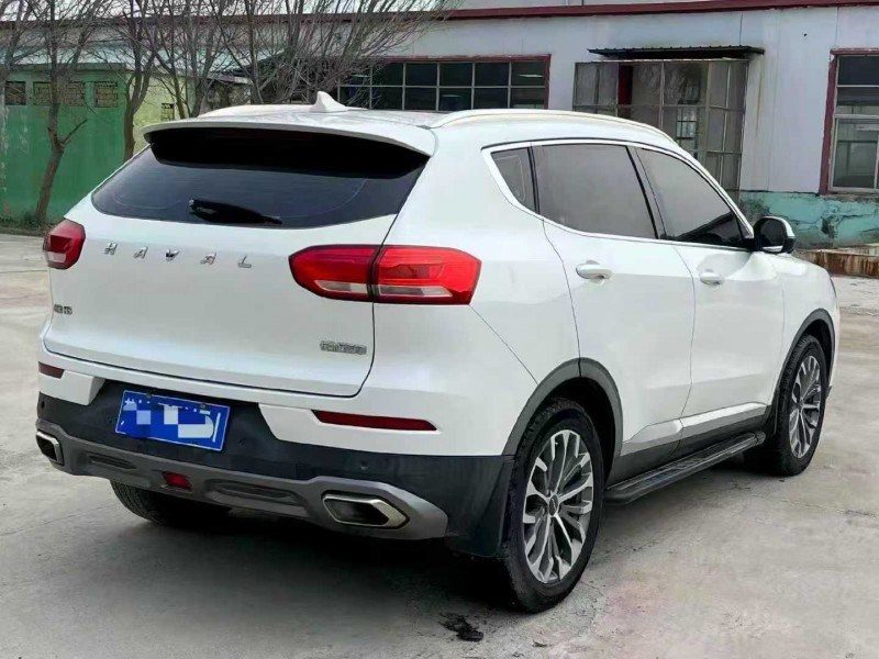 濰坊20年紅旗H69