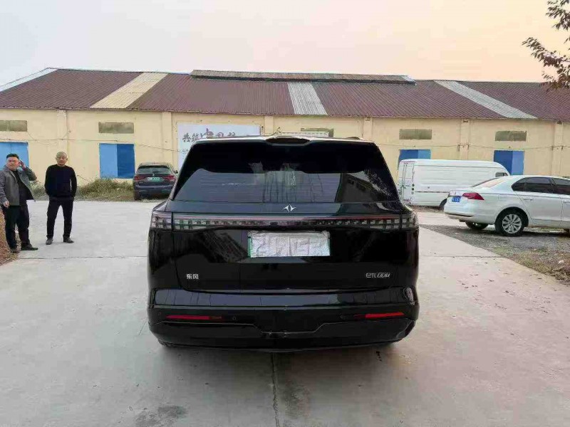 徐州25年东风奕派9