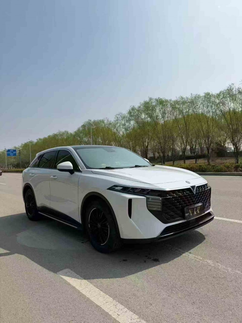 棗莊23年啟辰大V2