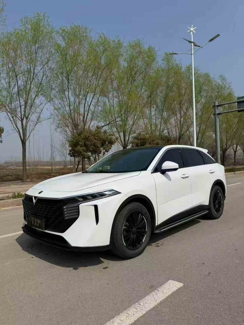 棗莊23年啟辰大V3