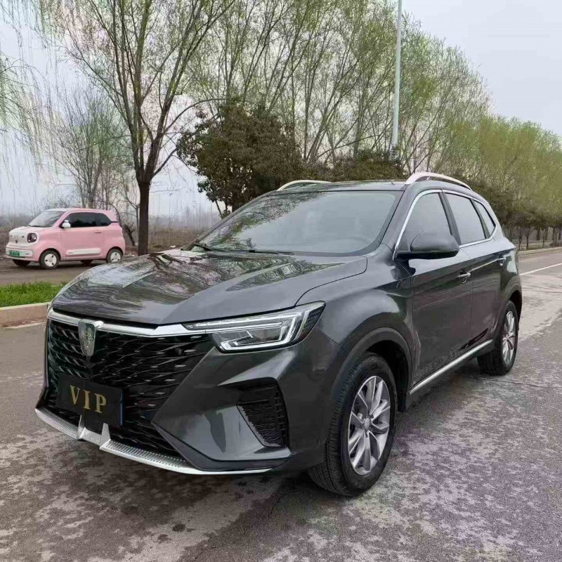 棗莊25年榮威RX53