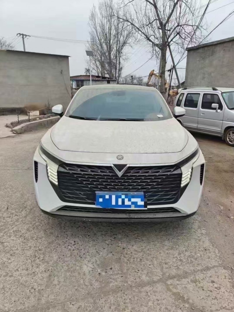 保定22年启辰大V1