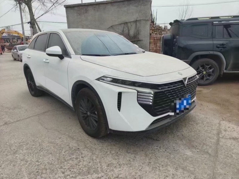 保定22年启辰大V2