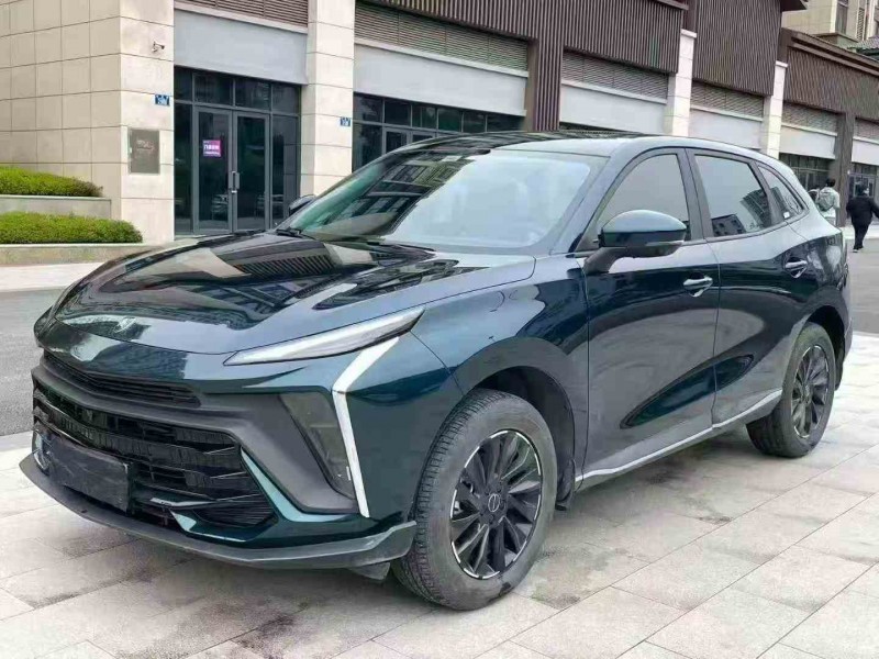 重慶24年東風風行3