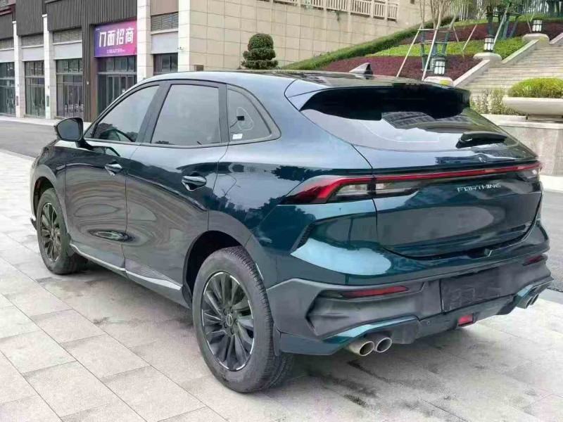 重慶24年東風風行8