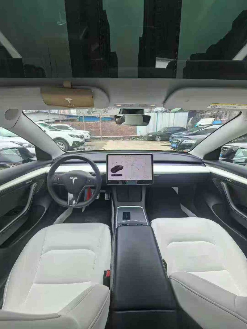 平顶山21年特斯拉MODEL 33