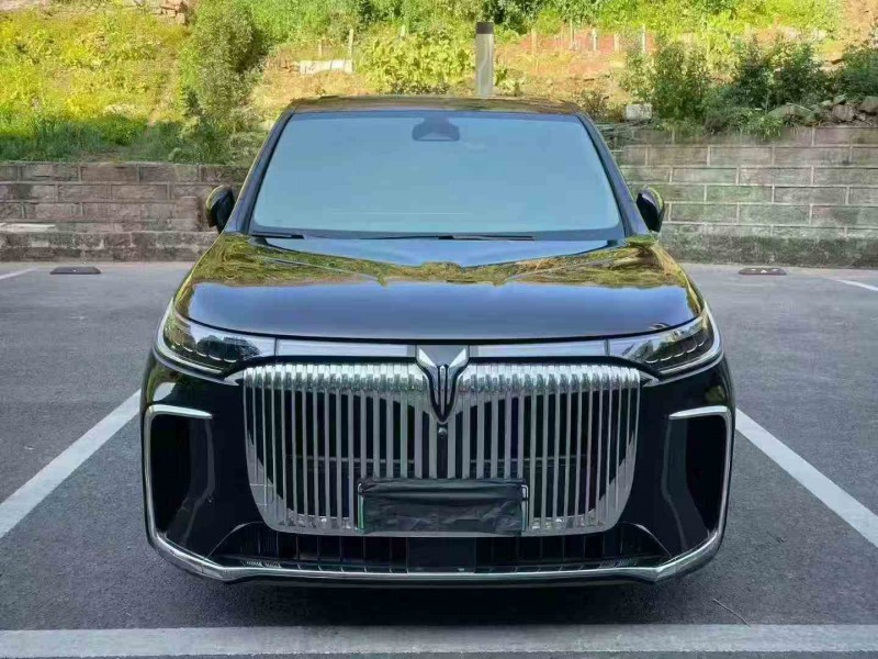 重慶25年嵐圖汽車夢想家1