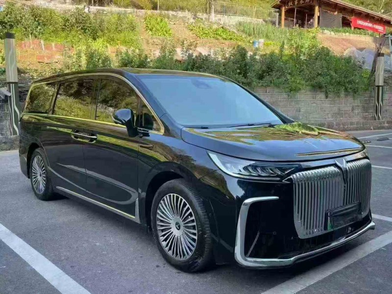 重慶25年嵐圖汽車夢想家2