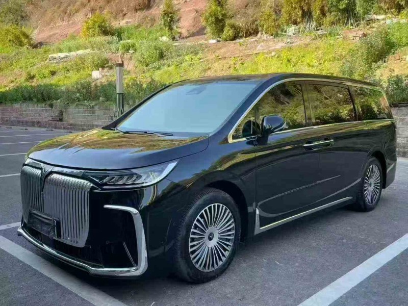 重慶25年嵐圖汽車夢想家3