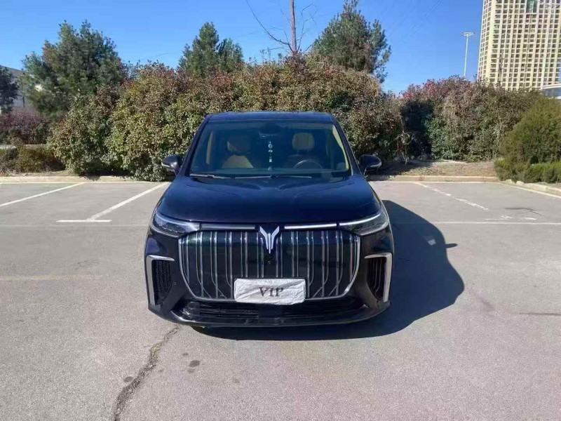 连云港23年岚图汽车梦想家1