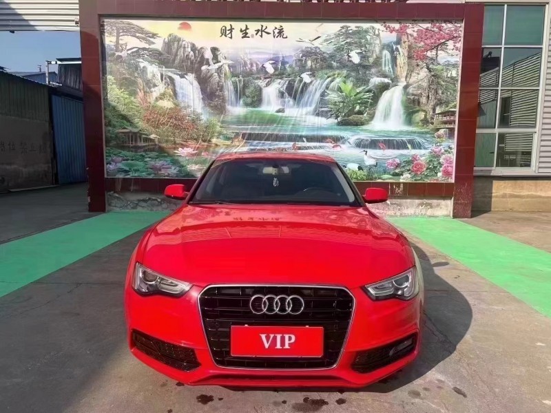 临沂16年奥迪A51