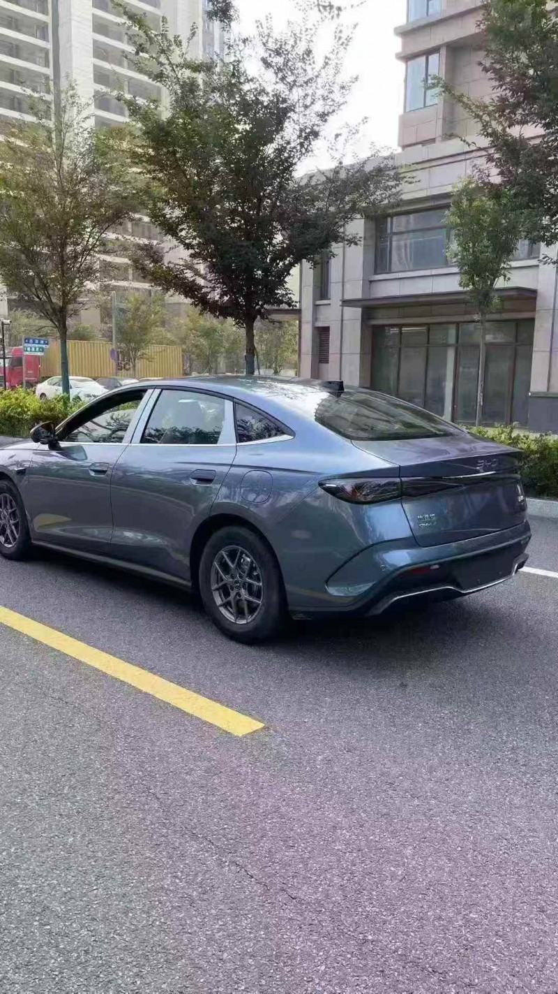 东营25年比亚迪海豹8