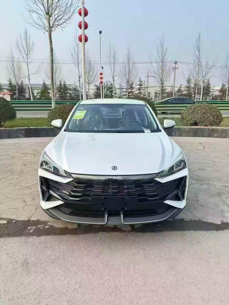 淮北25年东风奕炫1