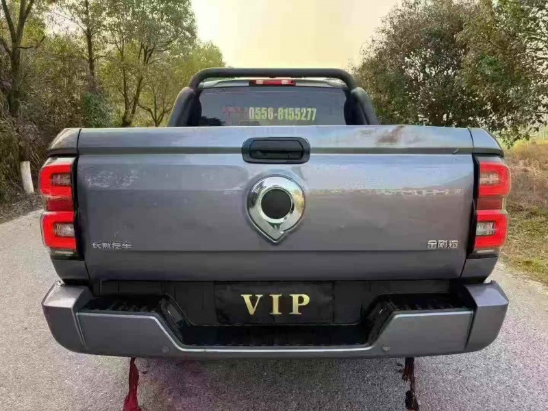 铜陵25年长城汽车炮 皮卡9