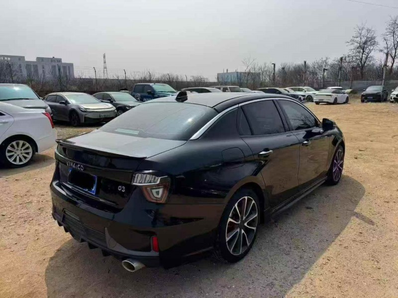 棗莊20年領克038