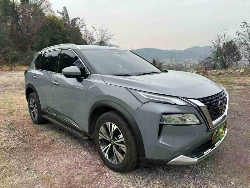 岳陽21年日產奇駿2