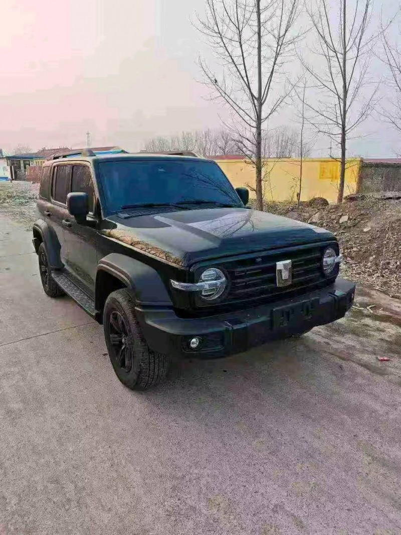 东营25年长城汽车坦克2