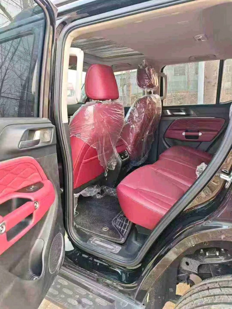 东营25年长城汽车坦克6