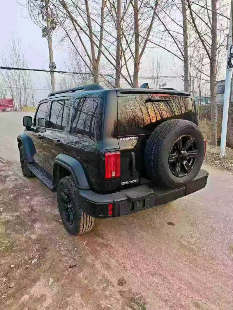 东营25年长城汽车坦克7