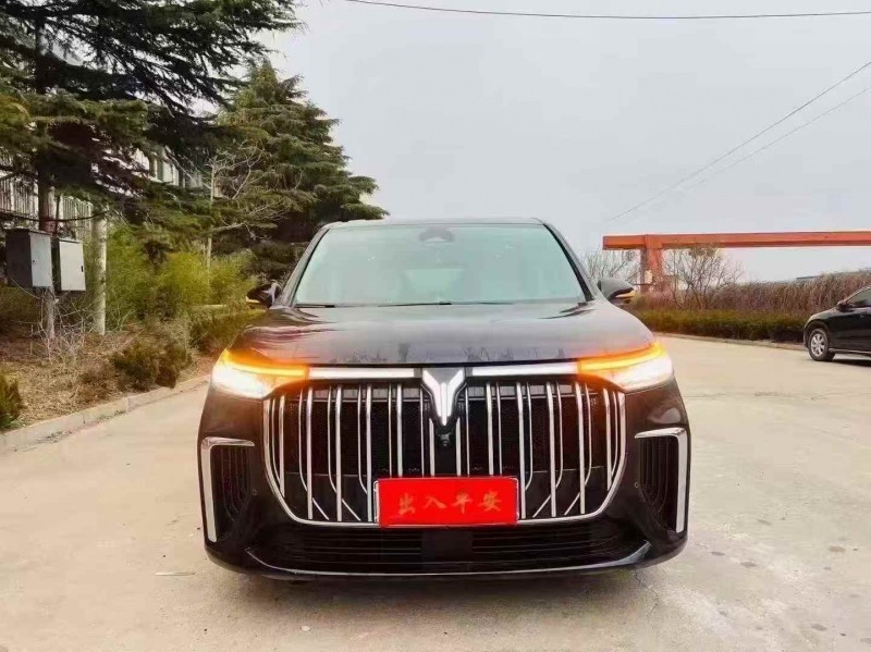 烟台24年岚图汽车梦想家1