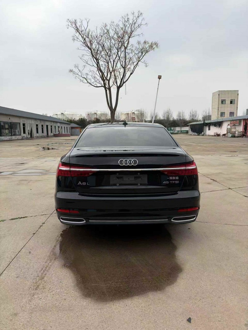 東營20年奧迪A6L9
