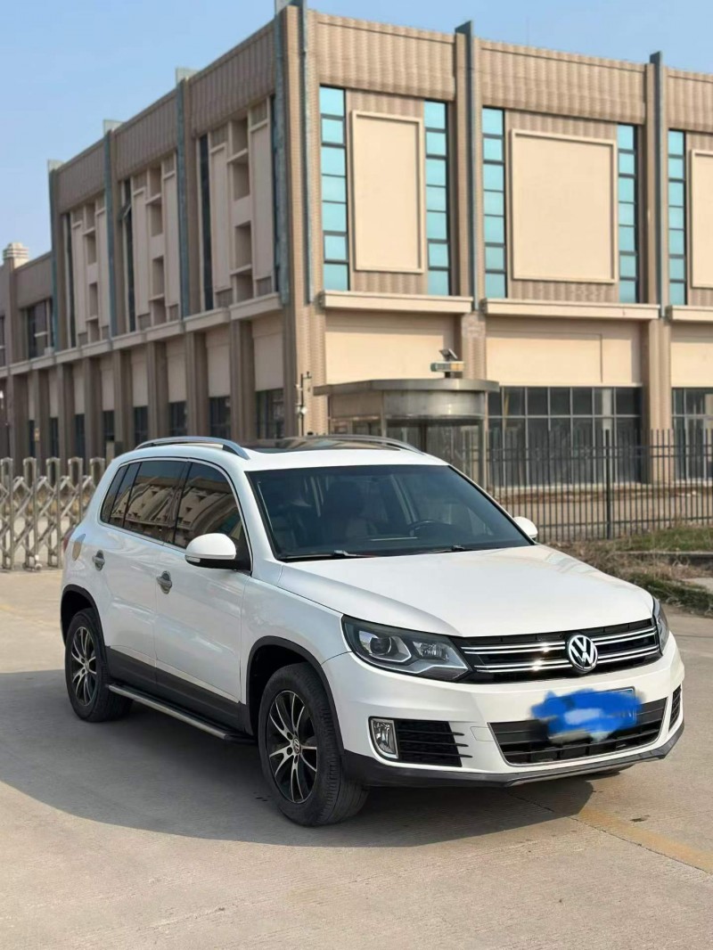 棗莊13年大眾途觀3