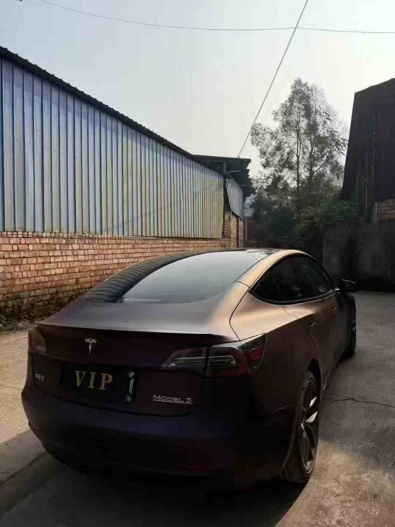 德陽22年特斯拉MODEL 39