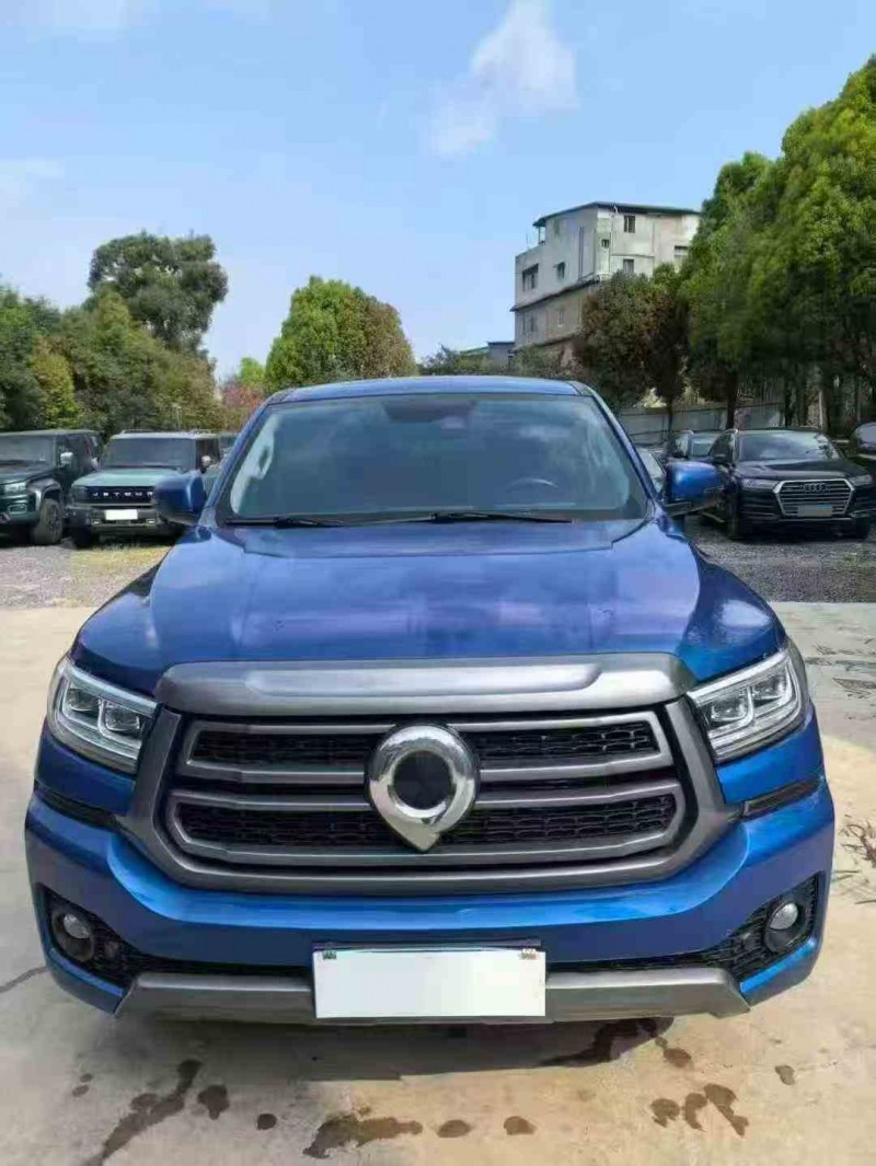 思茅24年长城汽车炮 皮卡1