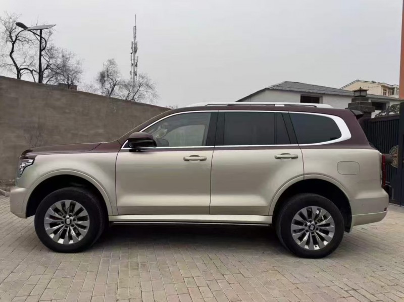 石家莊24年長城汽車坦克6