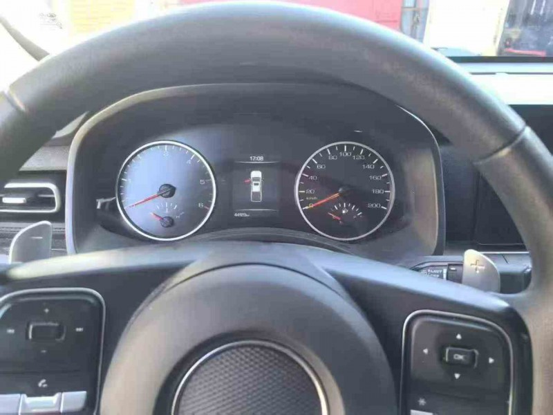 玉溪24年长城汽车炮 皮卡8