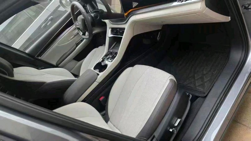 滄州25年比亞迪宋新能源5