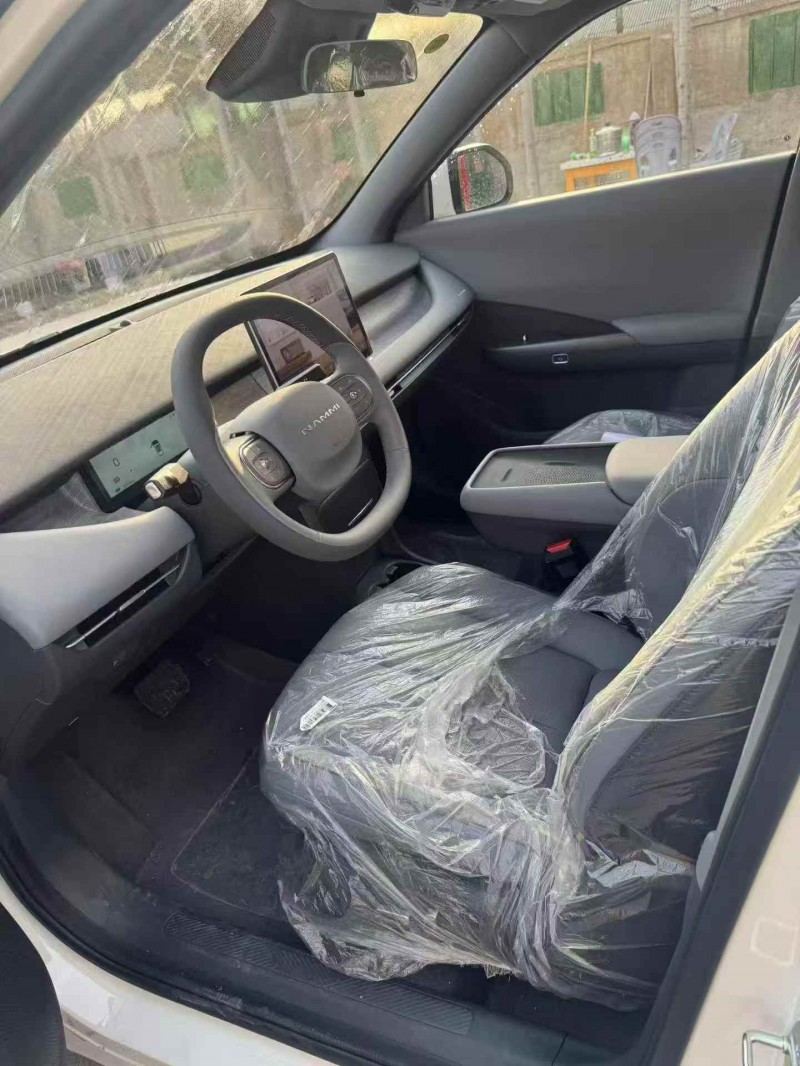 平顶山26年东风纳米4