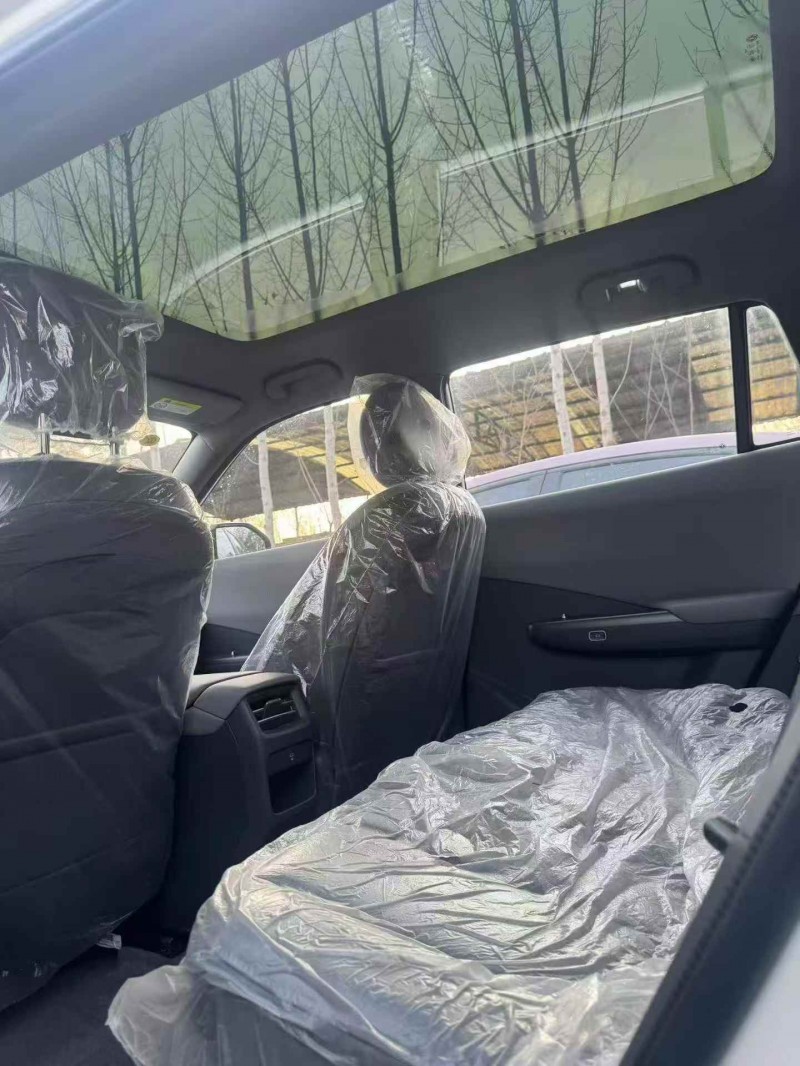 平顶山26年东风纳米5