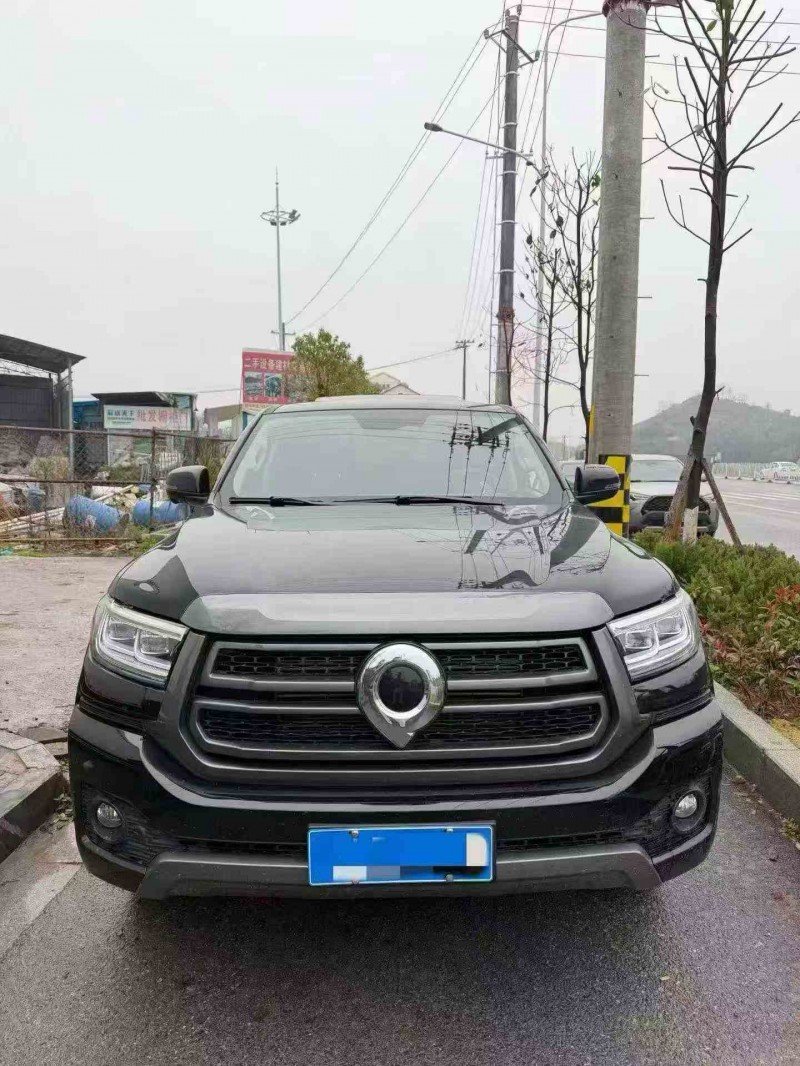 邵陽25年長城汽車炮 皮卡1