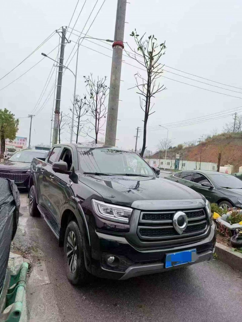 邵陽25年長城汽車炮 皮卡2