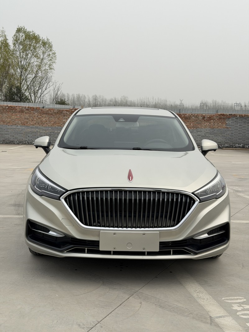 新乡20年红旗H51