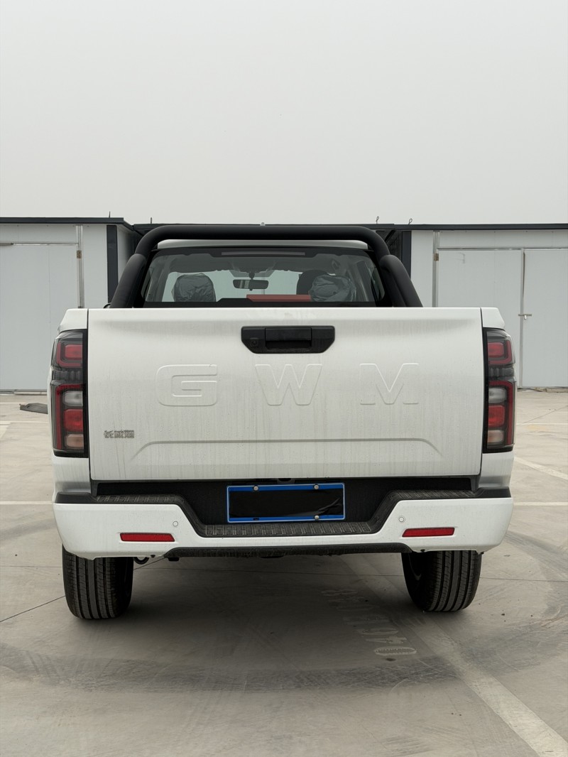 新乡26年长城汽车炮 皮卡8