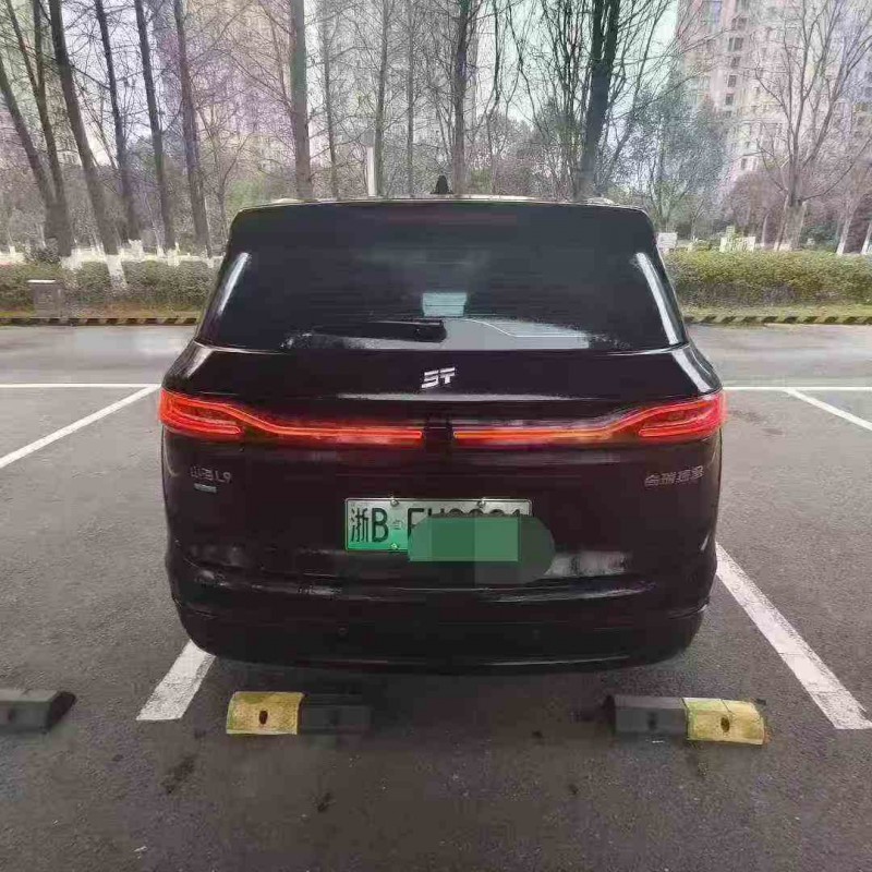 嘉兴25年理想L99