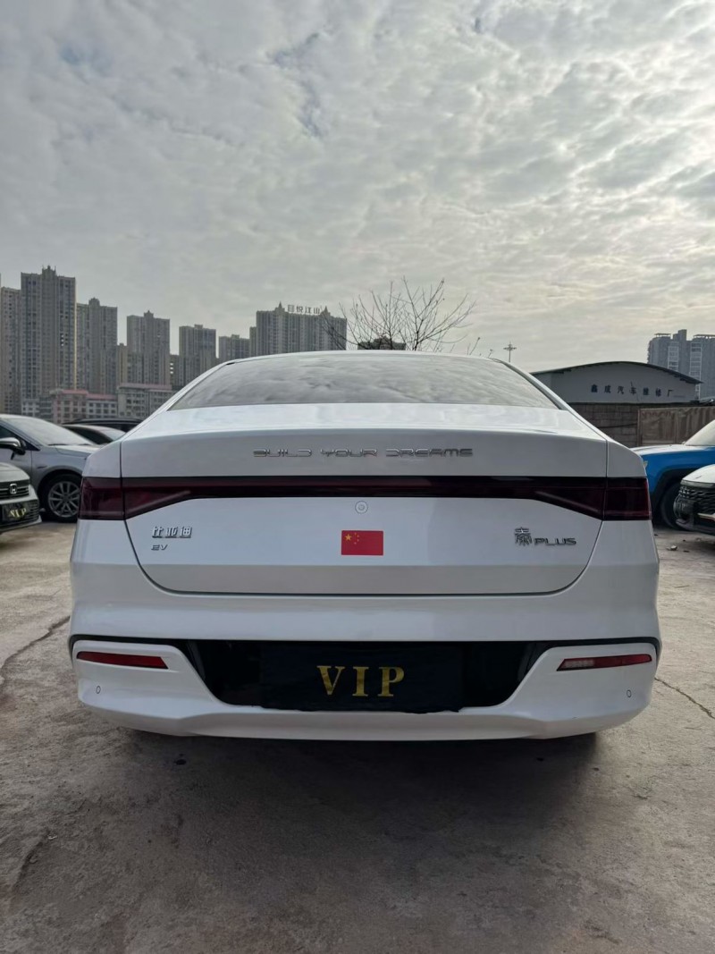 娄底24年比亚迪秦8