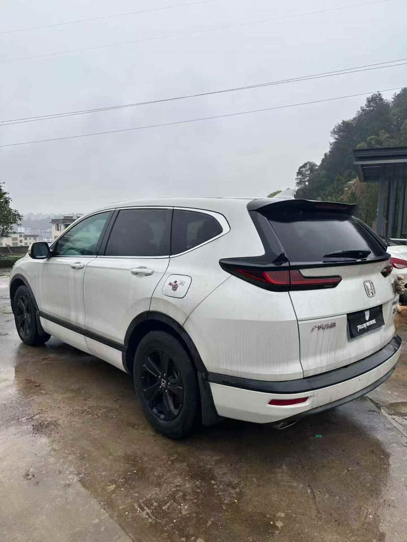 新余20年本田皓影8