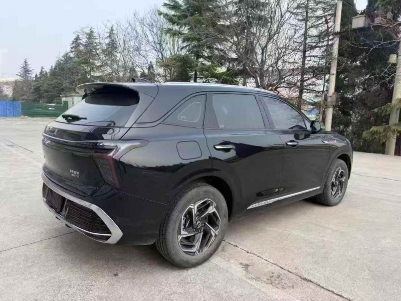 枣庄24年红旗HS37