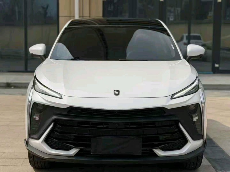 东营24年东风风行1