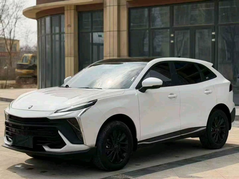 东营24年东风风行2