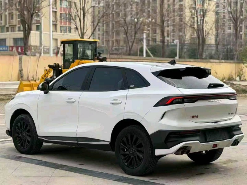 东营24年东风风行7