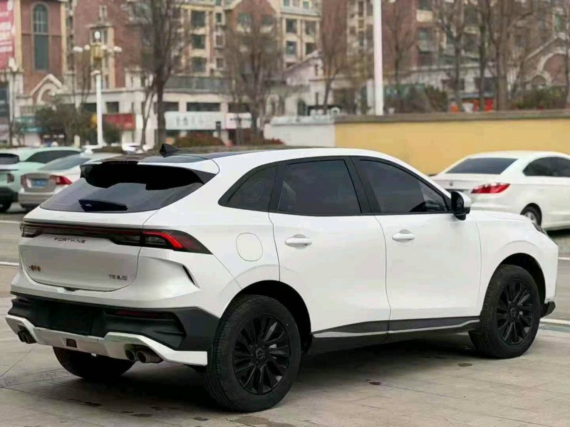 东营24年东风风行8