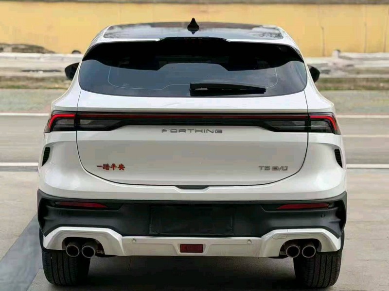 东营24年东风风行9