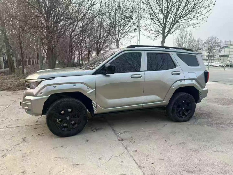 枣庄24年长城汽车坦克3