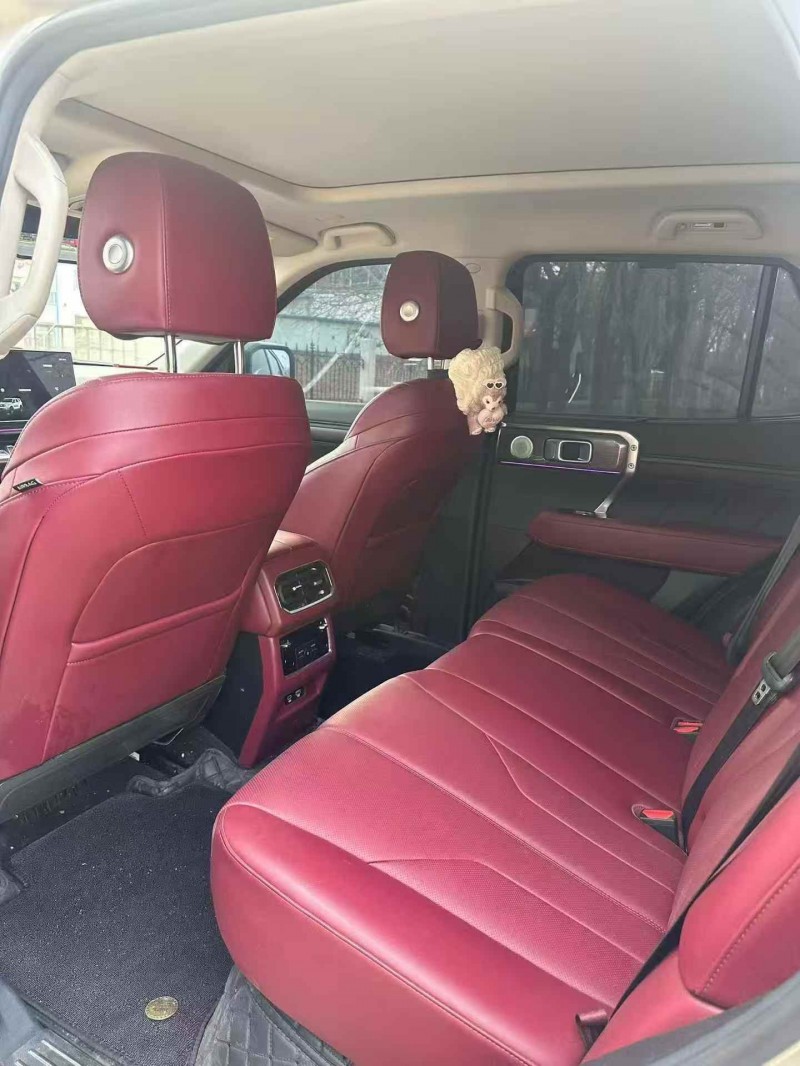 枣庄24年长城汽车坦克6