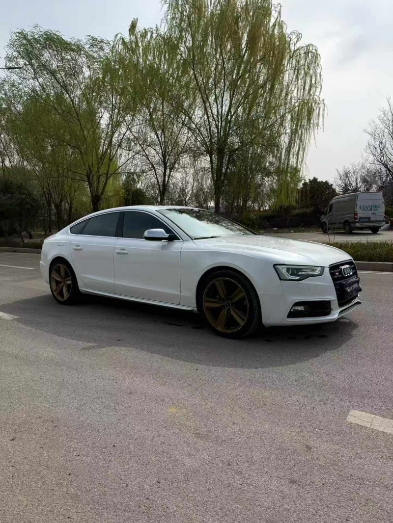 潍坊14年奥迪S52